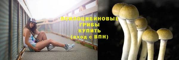 эйфоретик Михайловка