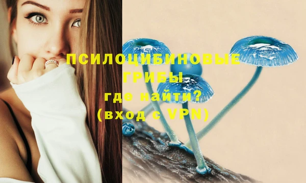 сатива Михайловск