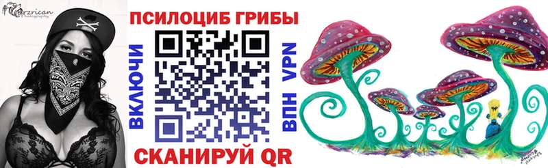 KRAKEN как войти  закладка  Первоуральск  Галлюциногенные грибы Psilocybine cubensis 