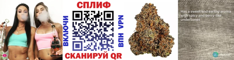 Бошки Шишки ГИДРОПОН Первоуральск